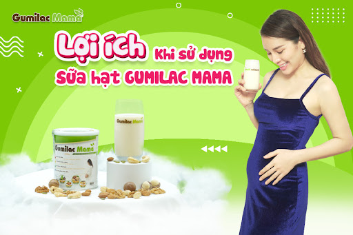 Sữa Gumilac Mama Giá Bao Nhiêu?