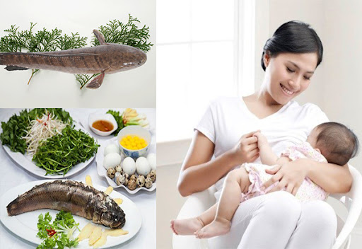 Mẹ và bé: Bà bầu 3 tháng đầu ăn cá lóc được không? Ba-bau-3-thang-dau-an-ca-loc-duoc-khong-03