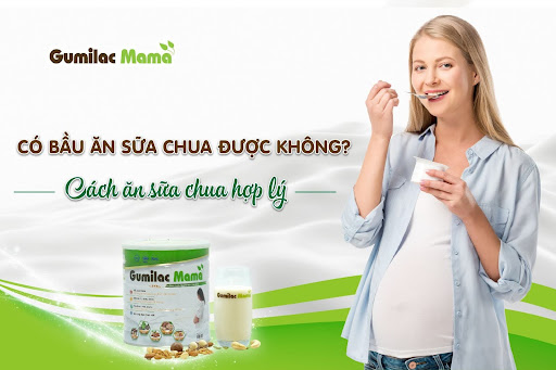 Một số món ăn kết hợp sữa chua dành cho bà bầu