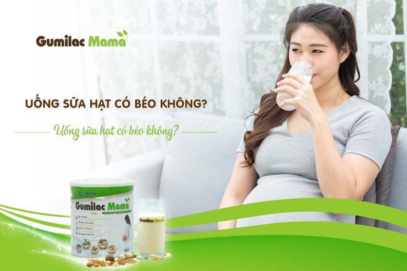 Uống sữa hạt có béo không? Mẹ bầu có nên uống sữa hạt