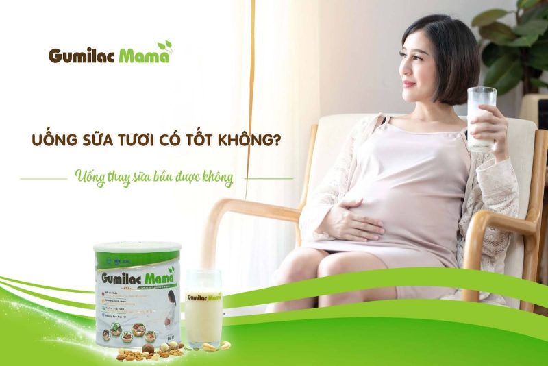  Uống sữa tươi có tốt không? Thay thế sữa bầu bằng sữa tươi được không